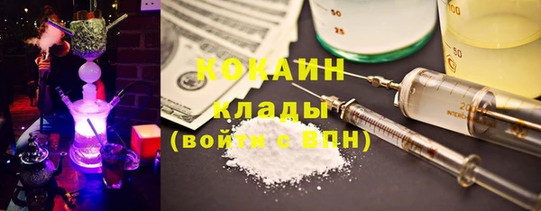 дурь Новодвинск