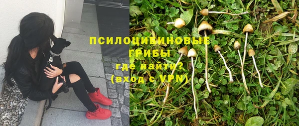 мет Горно-Алтайск