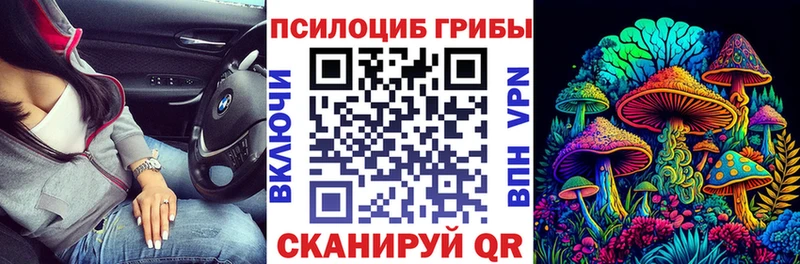 магазин    Гурьевск  Псилоцибиновые грибы мухоморы 